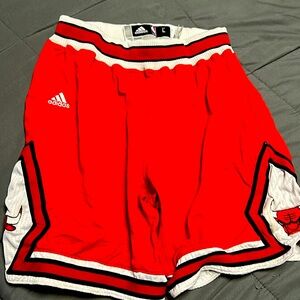 Chicago Bulls basketball shorts Jordan Large